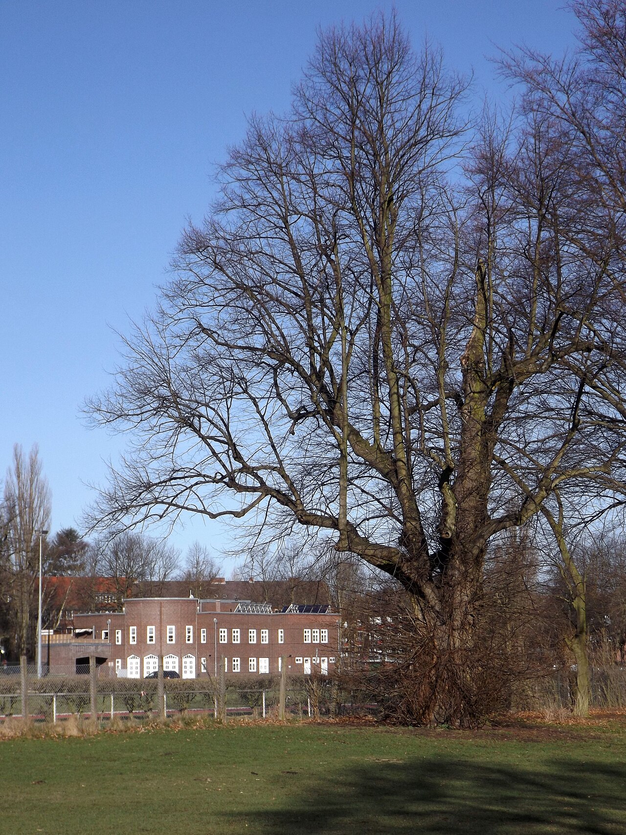 Hammer Park