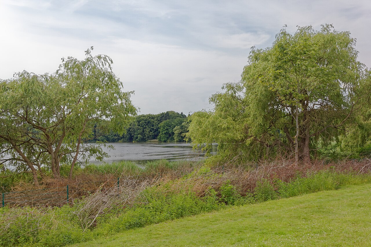 Öjendorfer Park