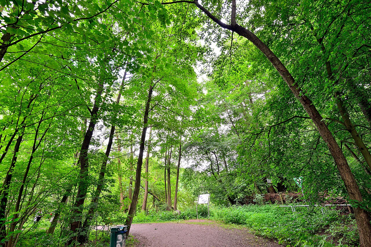 Alsterpark