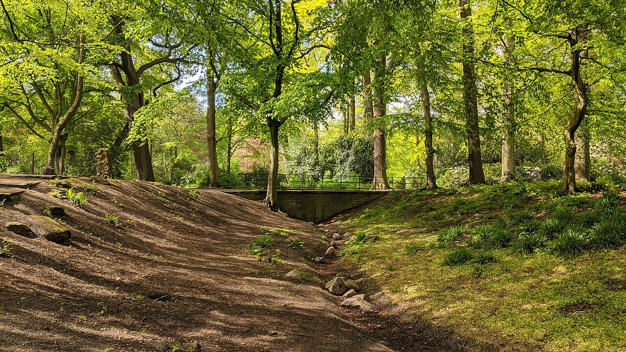 Hammer Park
