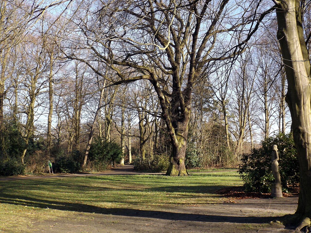 Hammer Park