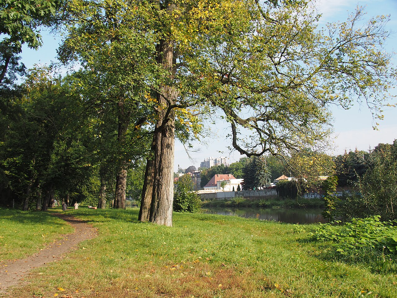 Stadtpark