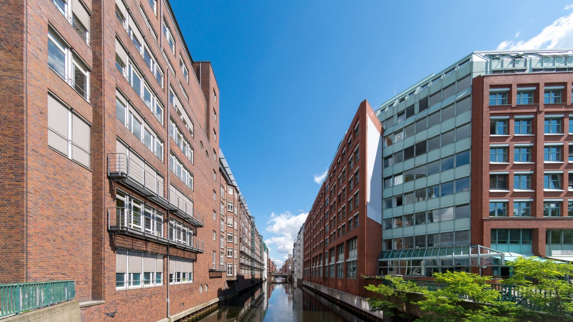 Baumwall
