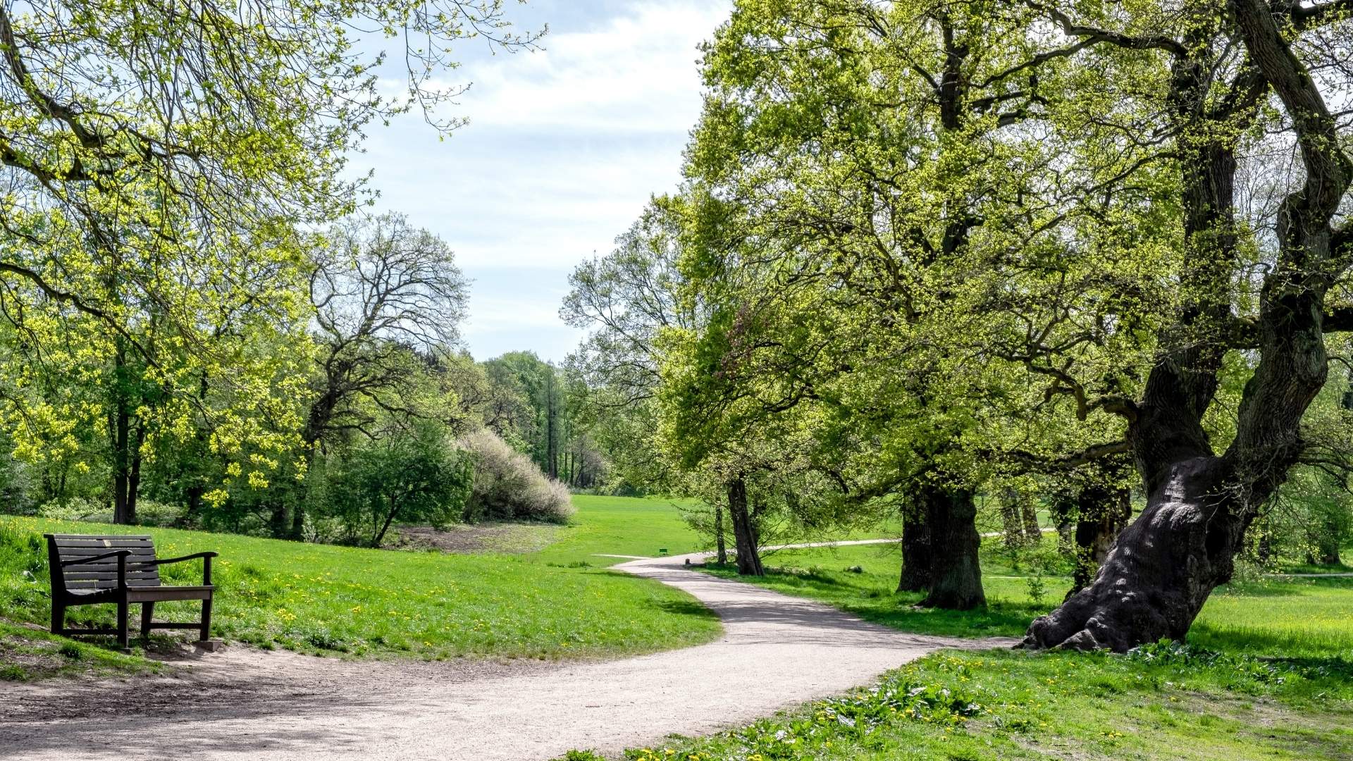 Jenischpark